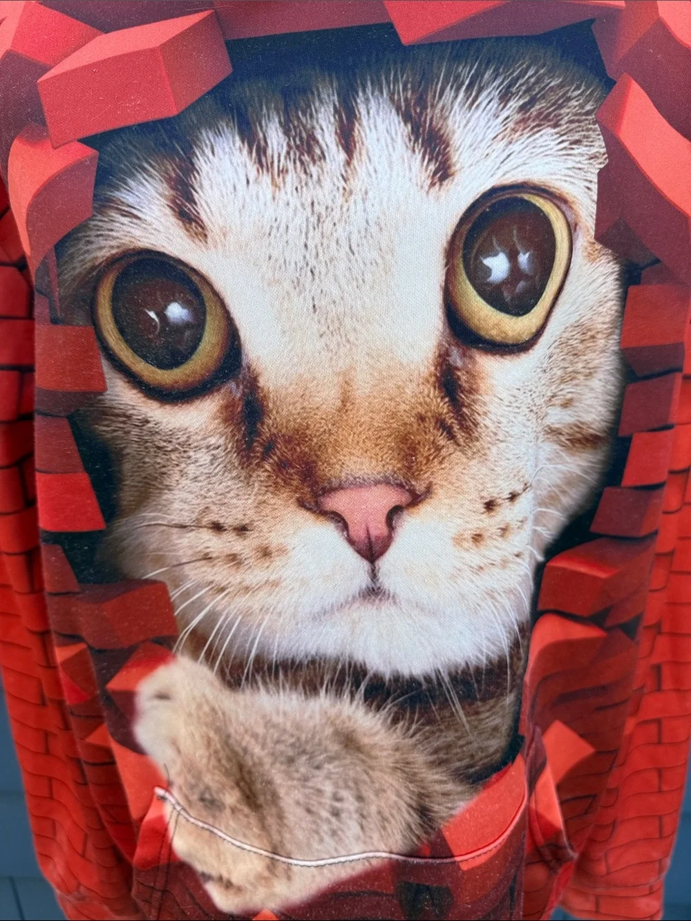 Source Unknown Red Cat Breakthrough Hooded Sweatshirt
